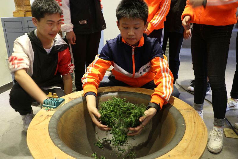 揉茶.JPG